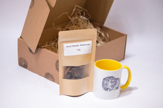 Mug & Dried Mushrooms Gift Box